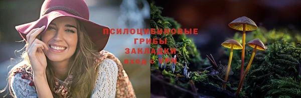 каннабис Баксан