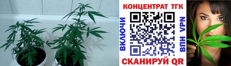 Дистиллят ТГК концентрат  hydra зеркало  Хасавюрт 